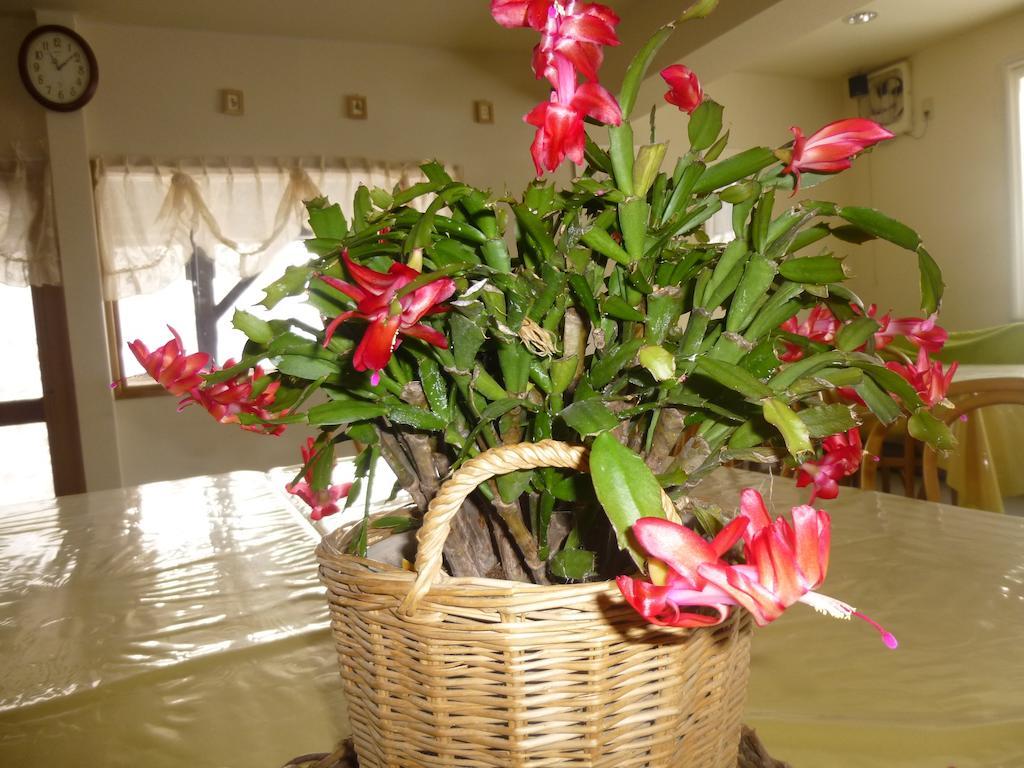 Annex Aburaya Hotel Iijama Kültér fotó